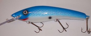 Blue Shad White Belly